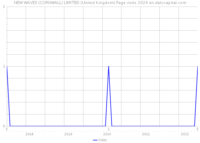 NEW WAVES (CORNWALL) LIMITED (United Kingdom) Page visits 2024 