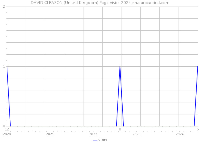 DAVID GLEASON (United Kingdom) Page visits 2024 