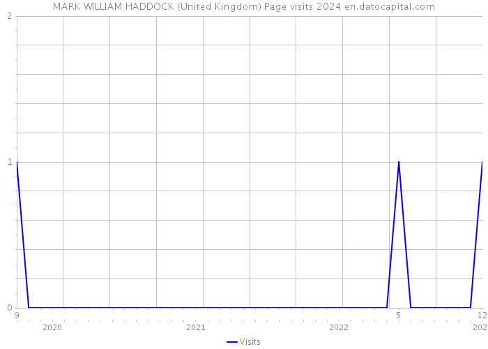 MARK WILLIAM HADDOCK (United Kingdom) Page visits 2024 