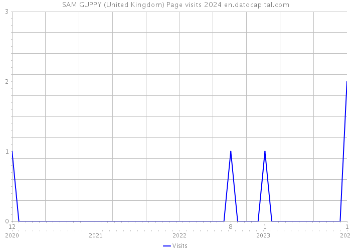 SAM GUPPY (United Kingdom) Page visits 2024 