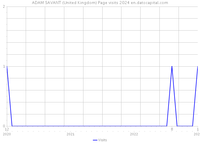 ADAM SAVANT (United Kingdom) Page visits 2024 