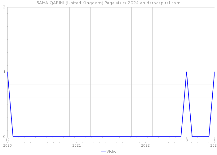 BAHA QARINI (United Kingdom) Page visits 2024 