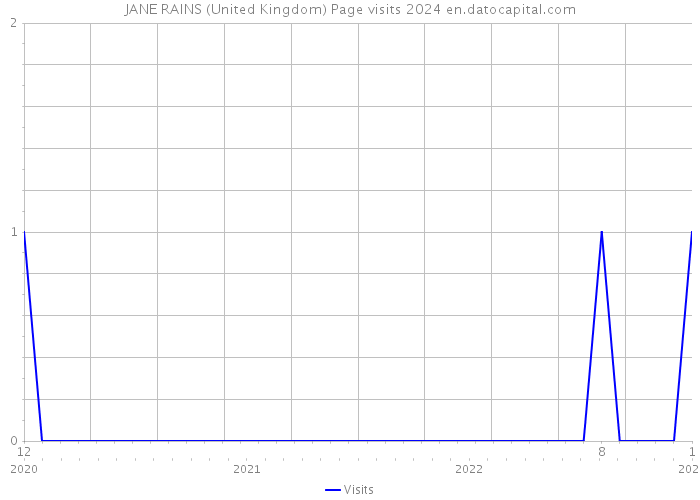 JANE RAINS (United Kingdom) Page visits 2024 