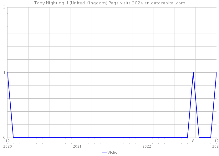 Tony Nightingill (United Kingdom) Page visits 2024 