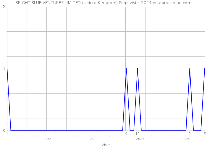 BRIGHT BLUE VENTURES LIMITED (United Kingdom) Page visits 2024 
