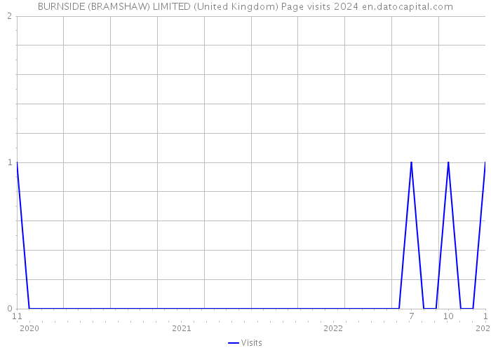 BURNSIDE (BRAMSHAW) LIMITED (United Kingdom) Page visits 2024 