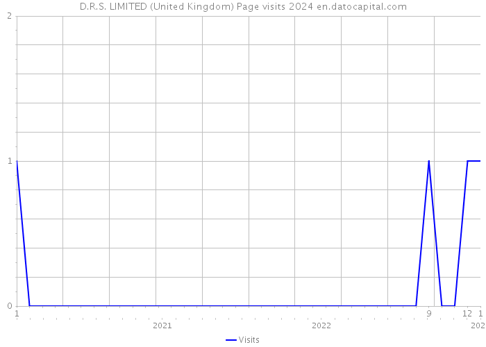 D.R.S. LIMITED (United Kingdom) Page visits 2024 