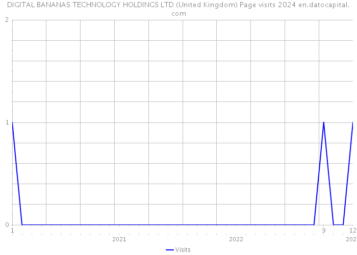 DIGITAL BANANAS TECHNOLOGY HOLDINGS LTD (United Kingdom) Page visits 2024 