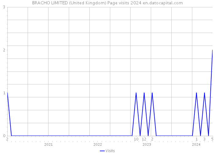 BRACHO LIMITED (United Kingdom) Page visits 2024 