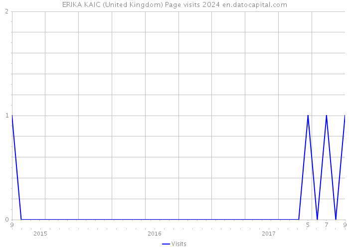 ERIKA KAIC (United Kingdom) Page visits 2024 