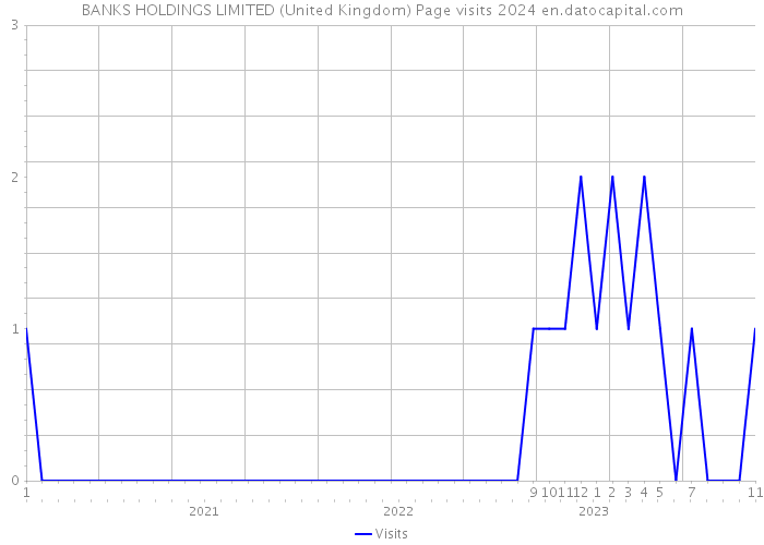 BANKS HOLDINGS LIMITED (United Kingdom) Page visits 2024 