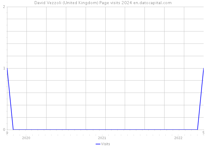 David Vezzoli (United Kingdom) Page visits 2024 