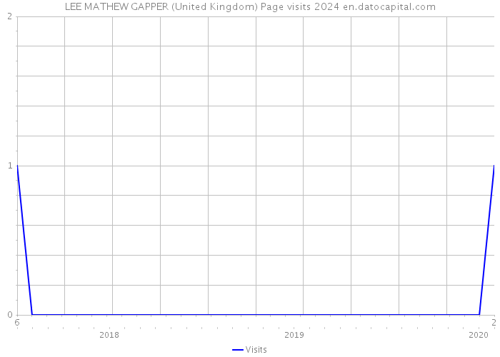LEE MATHEW GAPPER (United Kingdom) Page visits 2024 