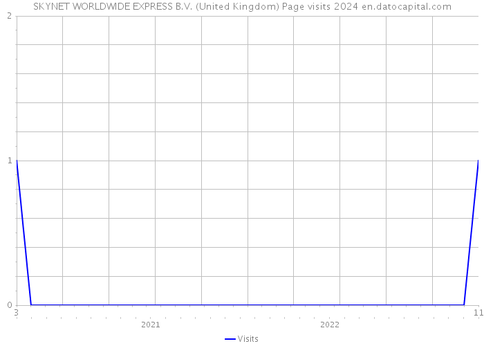 SKYNET WORLDWIDE EXPRESS B.V. (United Kingdom) Page visits 2024 