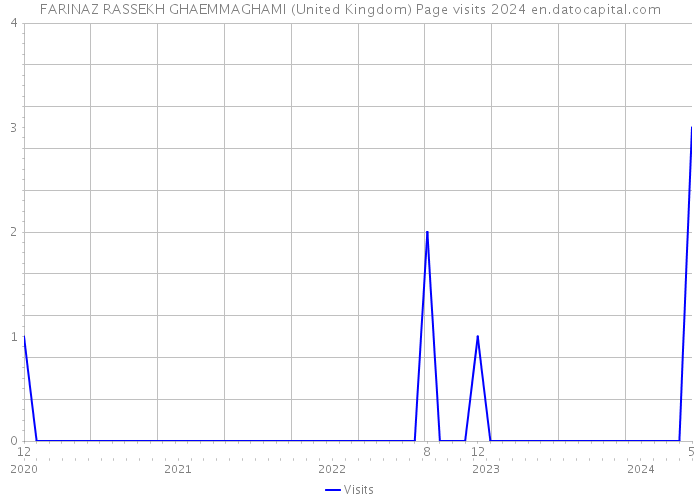 FARINAZ RASSEKH GHAEMMAGHAMI (United Kingdom) Page visits 2024 