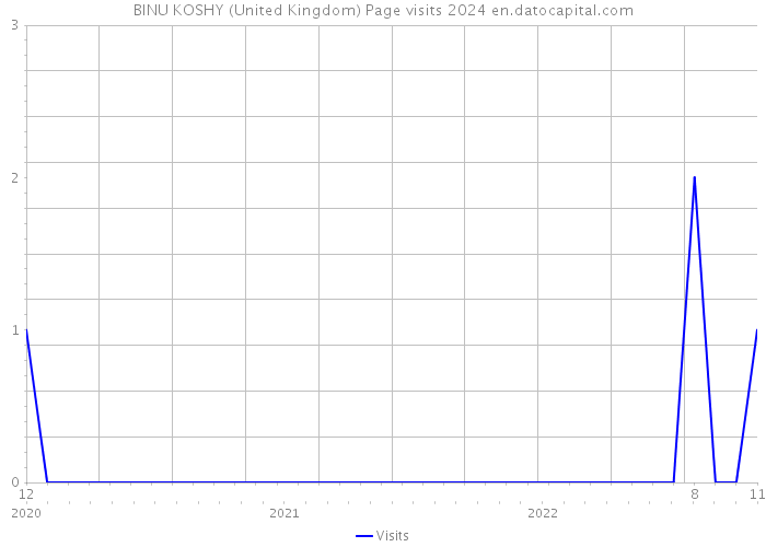 BINU KOSHY (United Kingdom) Page visits 2024 