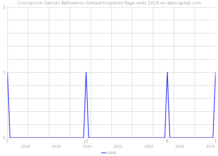 Concepcion Garrido Ballesteros (United Kingdom) Page visits 2024 