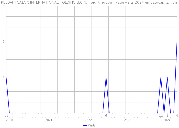 REED-HYCALOG INTERNATIONAL HOLDING LLC (United Kingdom) Page visits 2024 