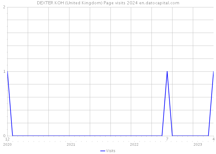 DEXTER KOH (United Kingdom) Page visits 2024 