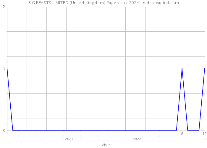 BIG BEASTS LIMITED (United Kingdom) Page visits 2024 
