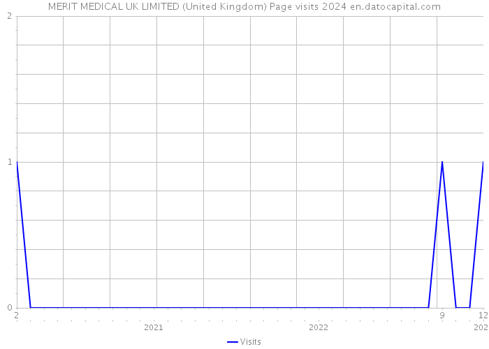MERIT MEDICAL UK LIMITED (United Kingdom) Page visits 2024 