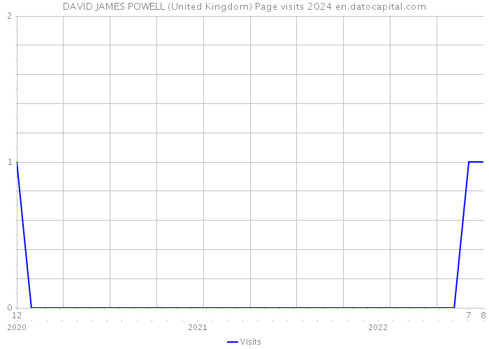DAVID JAMES POWELL (United Kingdom) Page visits 2024 