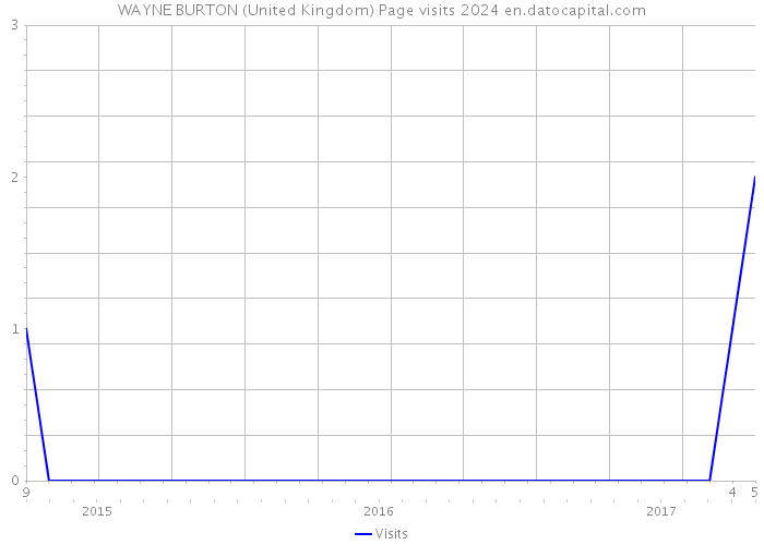 WAYNE BURTON (United Kingdom) Page visits 2024 