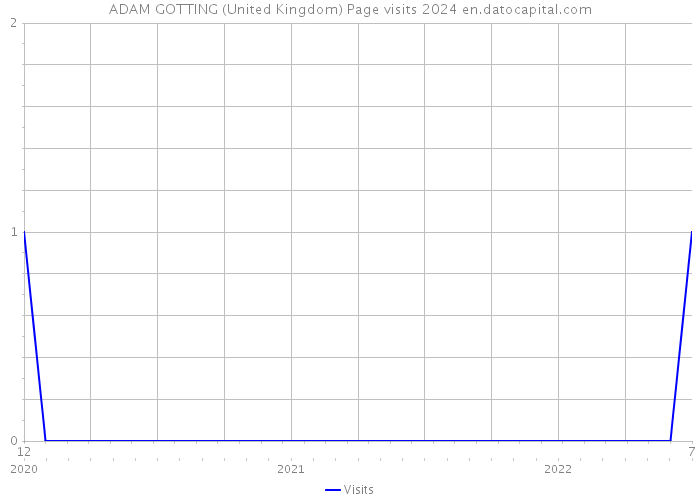 ADAM GOTTING (United Kingdom) Page visits 2024 