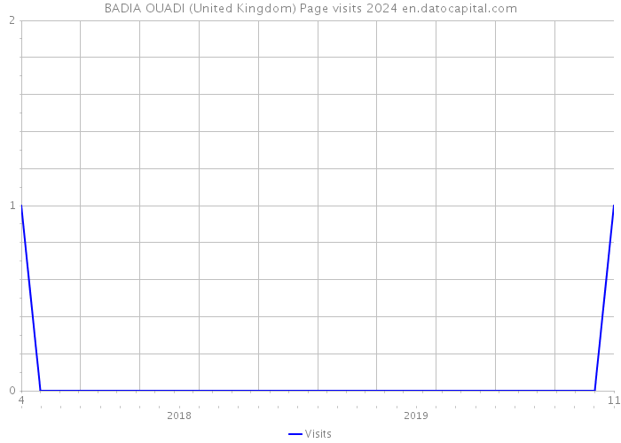 BADIA OUADI (United Kingdom) Page visits 2024 
