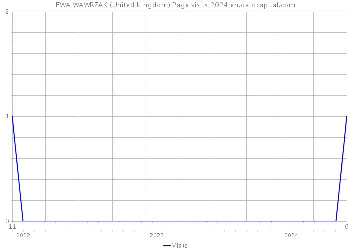 EWA WAWRZAK (United Kingdom) Page visits 2024 