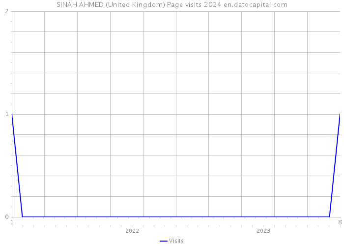 SINAH AHMED (United Kingdom) Page visits 2024 