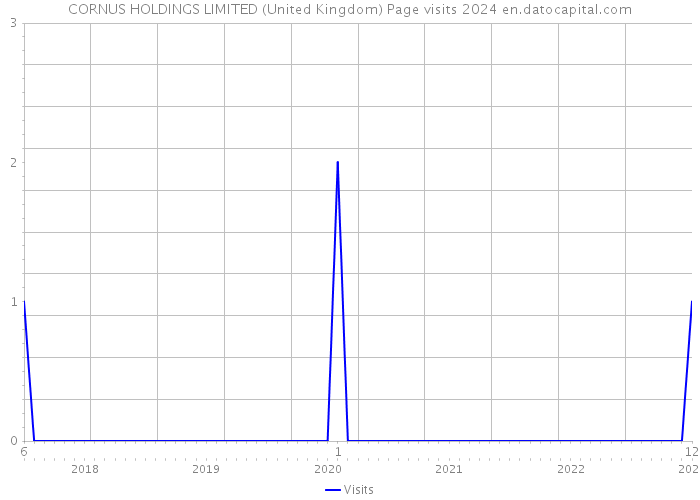 CORNUS HOLDINGS LIMITED (United Kingdom) Page visits 2024 