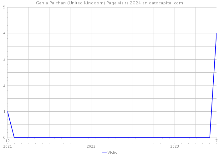 Genia Palchan (United Kingdom) Page visits 2024 