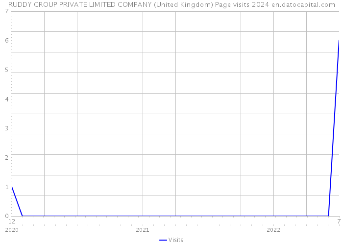 RUDDY GROUP PRIVATE LIMITED COMPANY (United Kingdom) Page visits 2024 