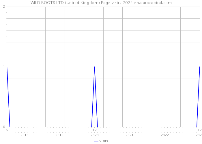 WILD ROOTS LTD (United Kingdom) Page visits 2024 