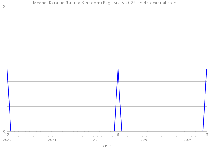 Meenal Karania (United Kingdom) Page visits 2024 