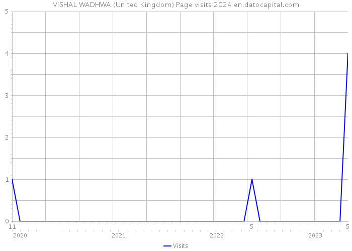 VISHAL WADHWA (United Kingdom) Page visits 2024 