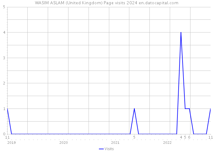 WASIM ASLAM (United Kingdom) Page visits 2024 