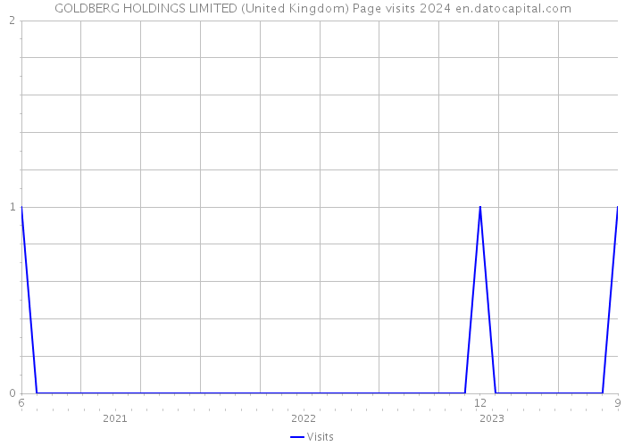 GOLDBERG HOLDINGS LIMITED (United Kingdom) Page visits 2024 
