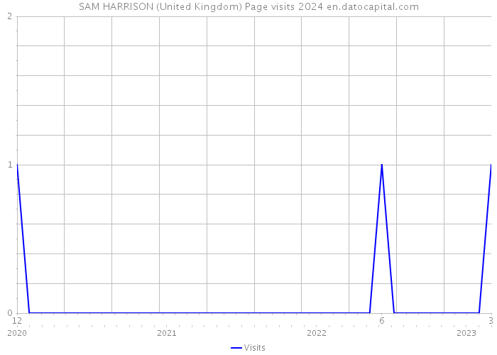 SAM HARRISON (United Kingdom) Page visits 2024 