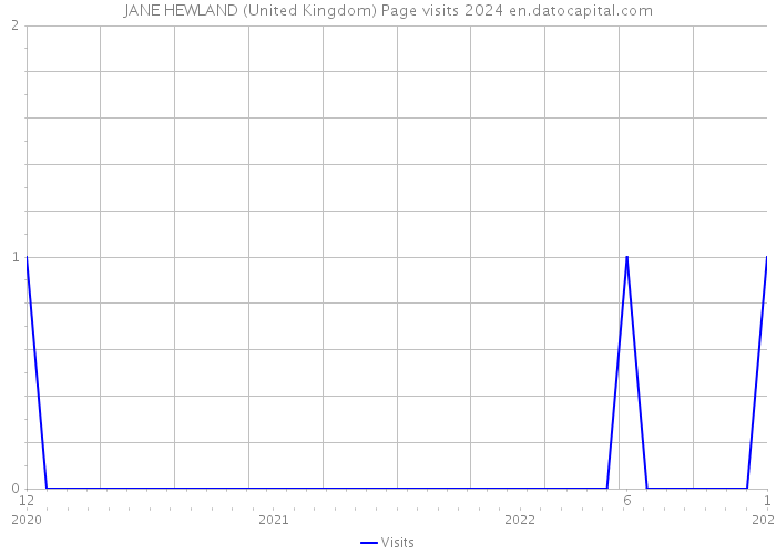 JANE HEWLAND (United Kingdom) Page visits 2024 