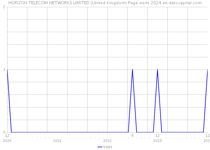 HORIZON TELECOM NETWORKS LIMITED (United Kingdom) Page visits 2024 