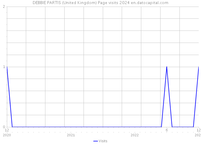 DEBBIE PARTIS (United Kingdom) Page visits 2024 