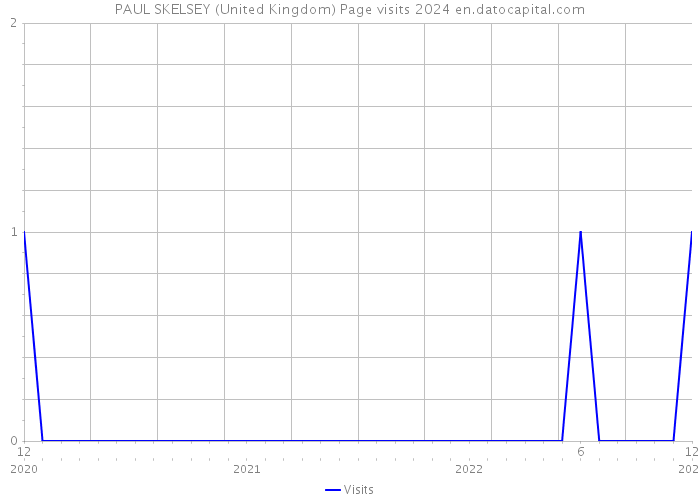 PAUL SKELSEY (United Kingdom) Page visits 2024 