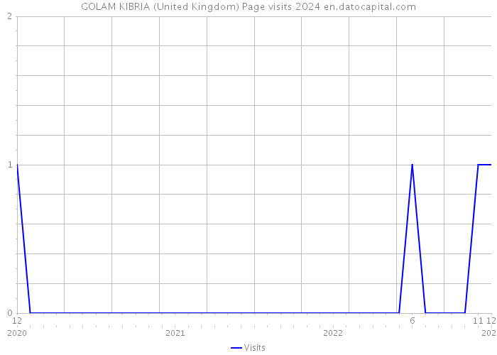 GOLAM KIBRIA (United Kingdom) Page visits 2024 