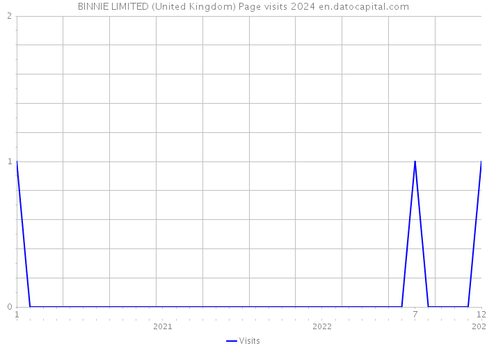 BINNIE LIMITED (United Kingdom) Page visits 2024 