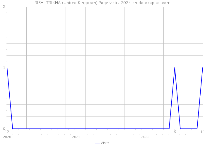 RISHI TRIKHA (United Kingdom) Page visits 2024 