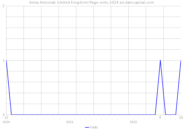 Anita Antoniak (United Kingdom) Page visits 2024 