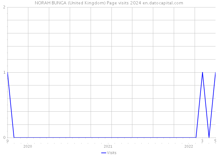 NORAH BUNGA (United Kingdom) Page visits 2024 