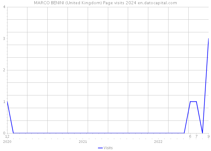 MARCO BENINI (United Kingdom) Page visits 2024 
